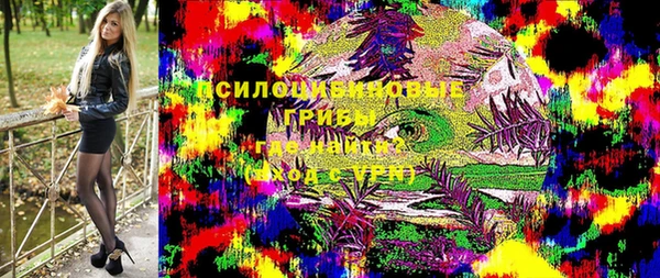 МДПВ Бугульма