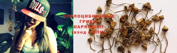 бутират Богданович