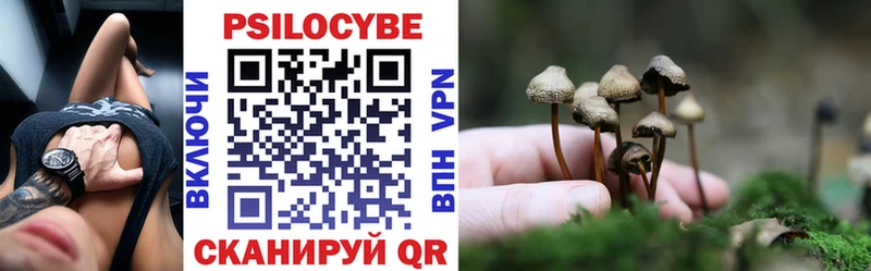 Галлюциногенные грибы GOLDEN TEACHER  Купить  Елабуга 
